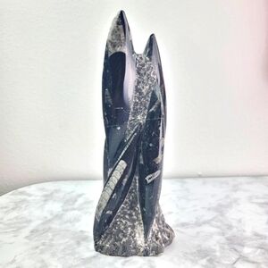 Orthoceras Fossil Home Decor Office Desk Bookend Display Black Gray Accent